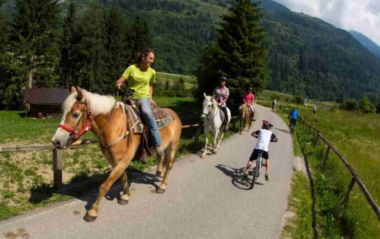 cavallo-in-strada-codice-tuttosuimotori.it