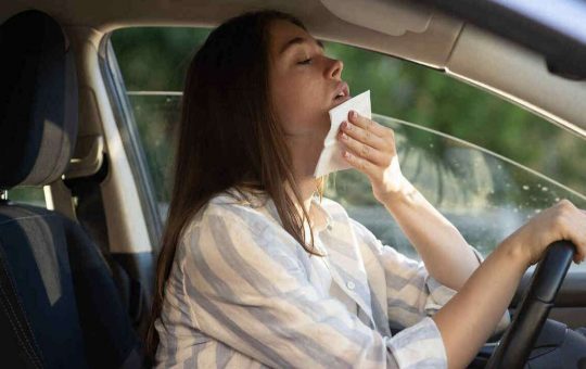 Caldo in auto, può essere pericoloso