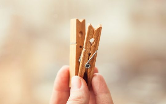 Mollette di legno