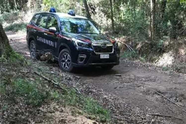 carabinieri lotta multe - carabinieri - tuttosuimotori.it